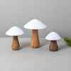 Champignon en bois manguier et émail M Be Home