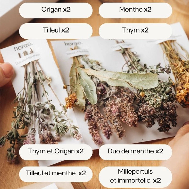 Coffret de 16 herbier d'infusion Bio Horae